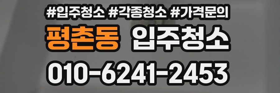 평촌동 이사청소