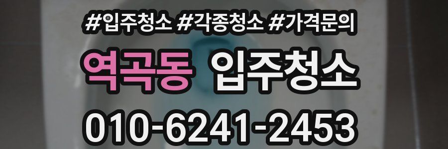 역곡동 이사청소