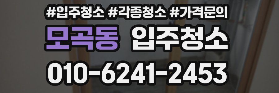 모곡동 이사청소