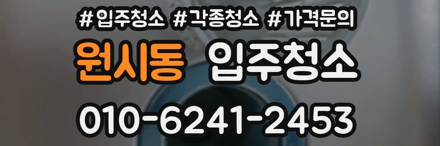 원시동 이사청소