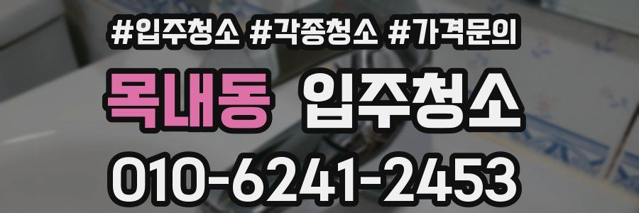 목내동 이사청소