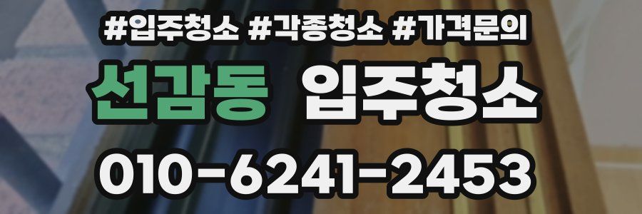 선감동 이사청소