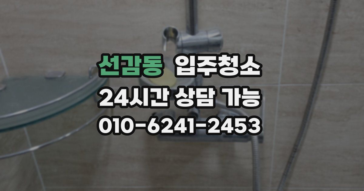 선감동 입주청소