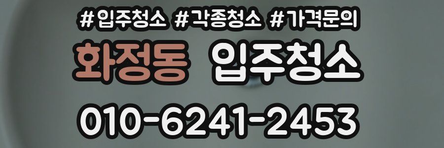 화정동 이사청소