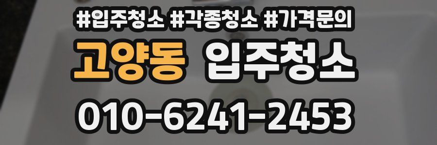 고양동 이사청소