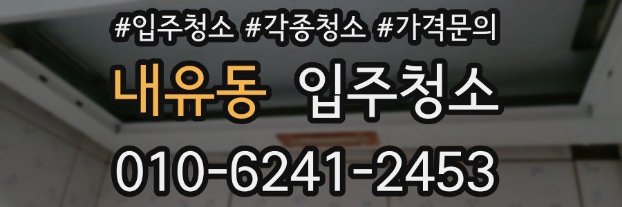 내유동 이사청소