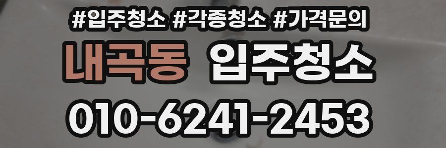 내곡동 이사청소