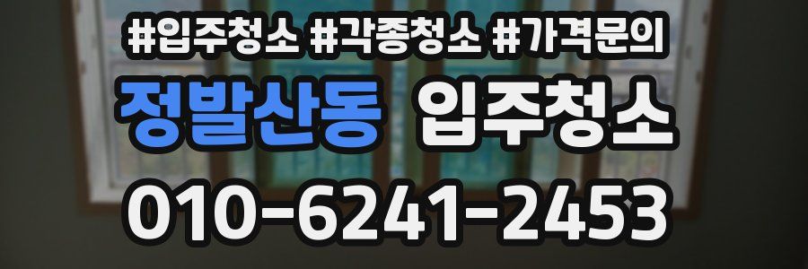 정발산동 이사청소