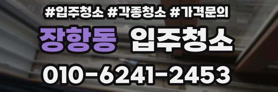 장항동 이사청소