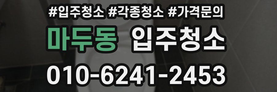마두동 이사청소