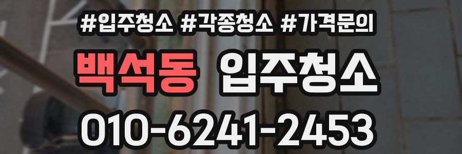 백석동 이사청소