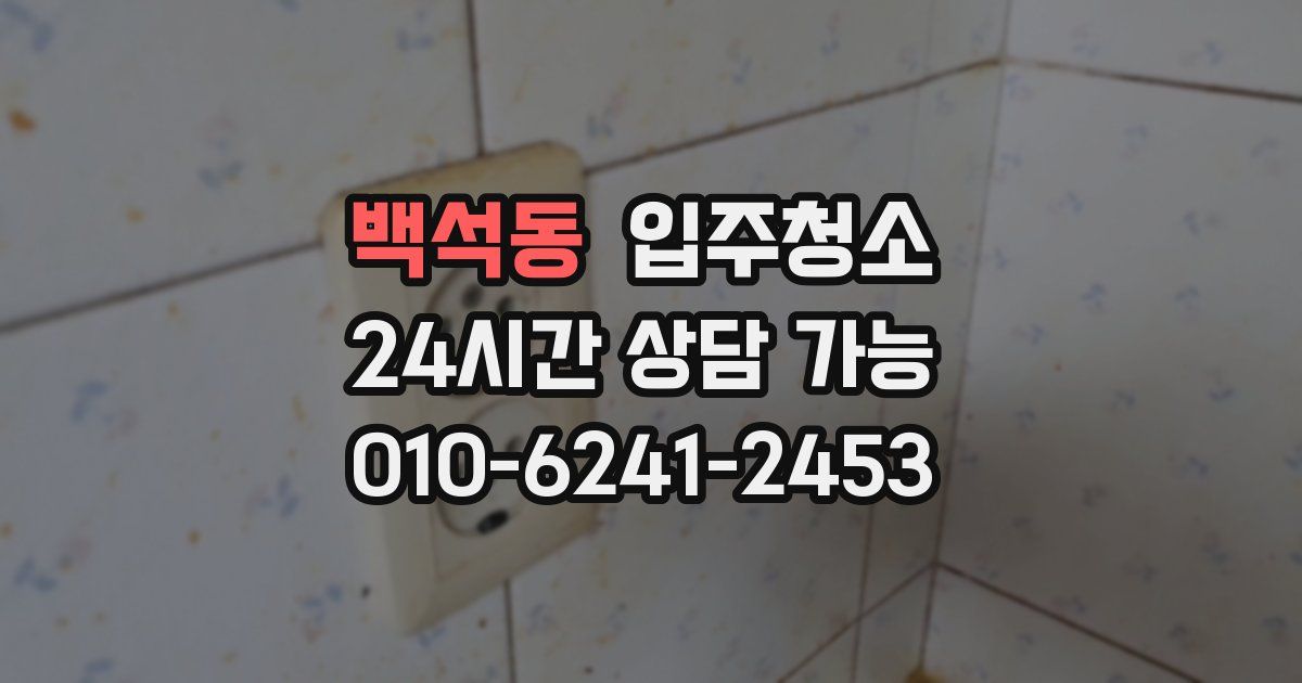 백석동 입주청소