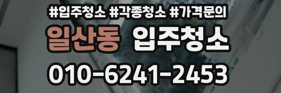 일산동 이사청소