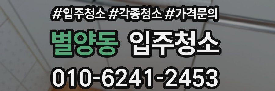 별양동 이사청소