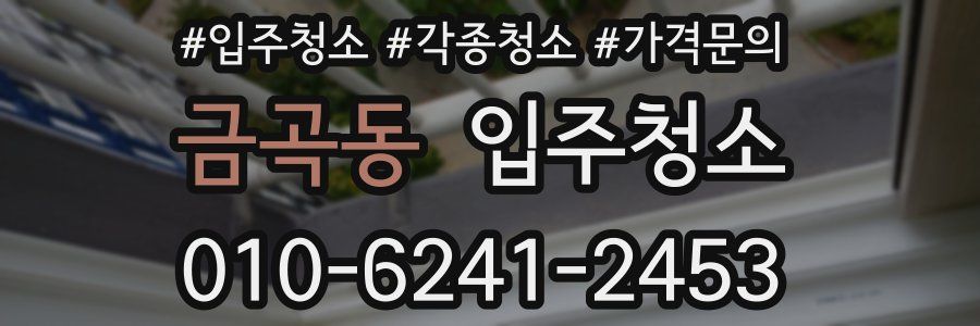 금곡동 이사청소