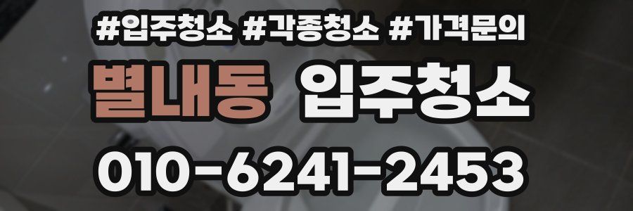 별내동 이사청소