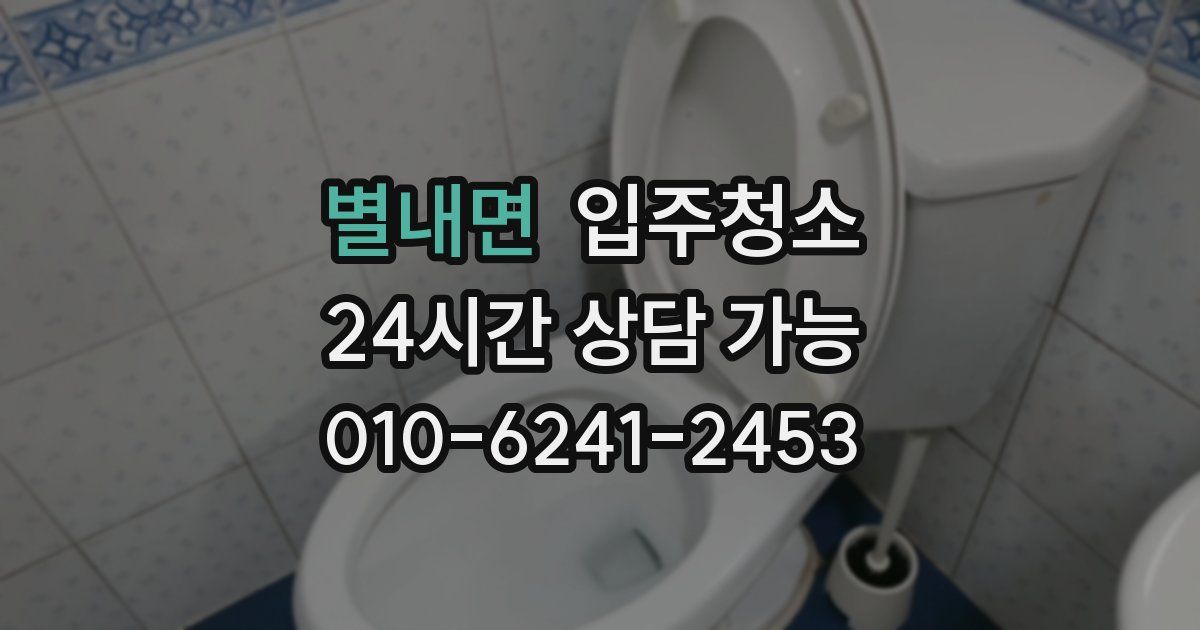 별내면 입주청소