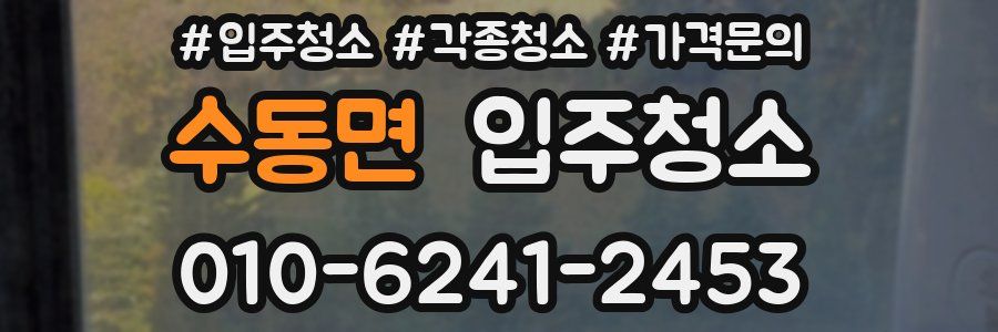 수동면 이사청소