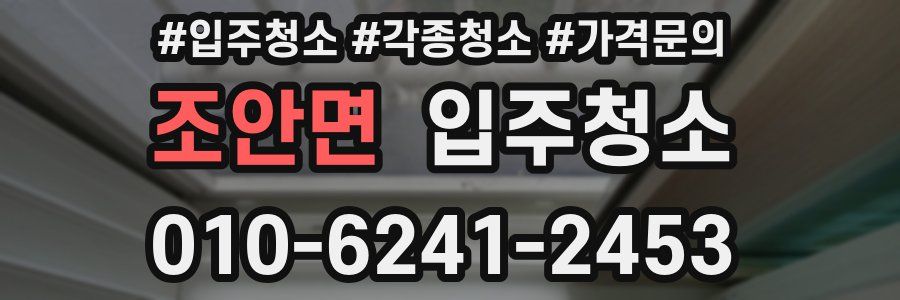 조안면 이사청소