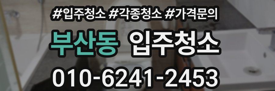 부산동 이사청소