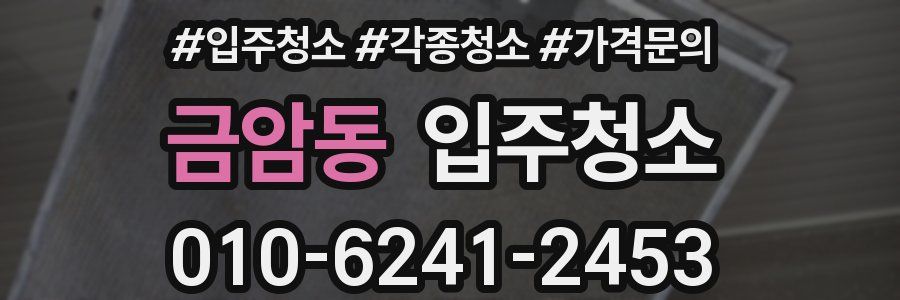 금암동 이사청소