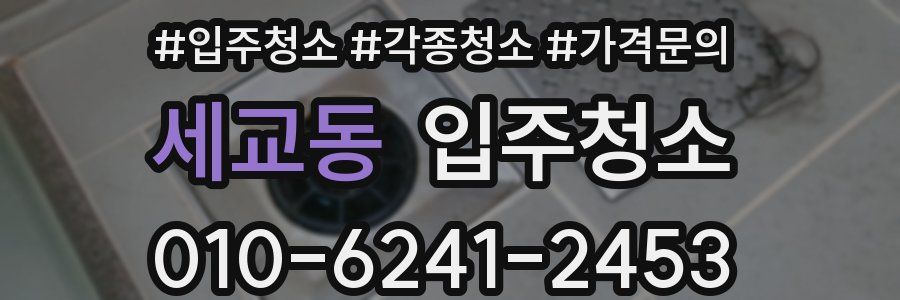 세교동 이사청소