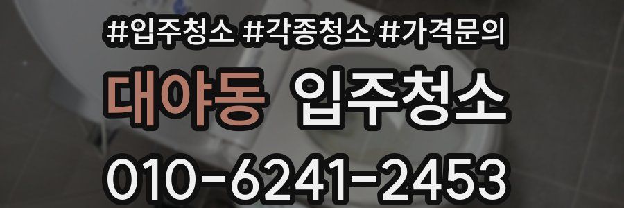 대야동 이사청소