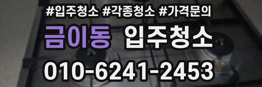 금이동 이사청소