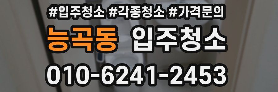 능곡동 이사청소