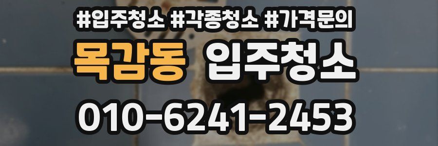 목감동 이사청소