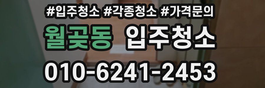 월곶동 이사청소