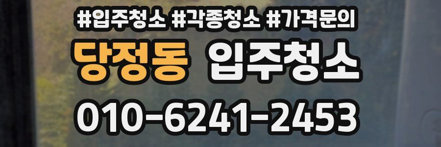 당정동 이사청소