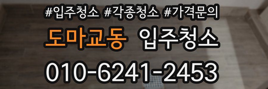 도마교동 이사청소