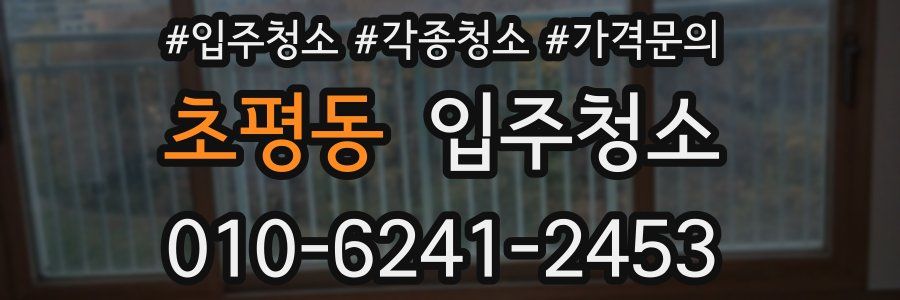 초평동 이사청소