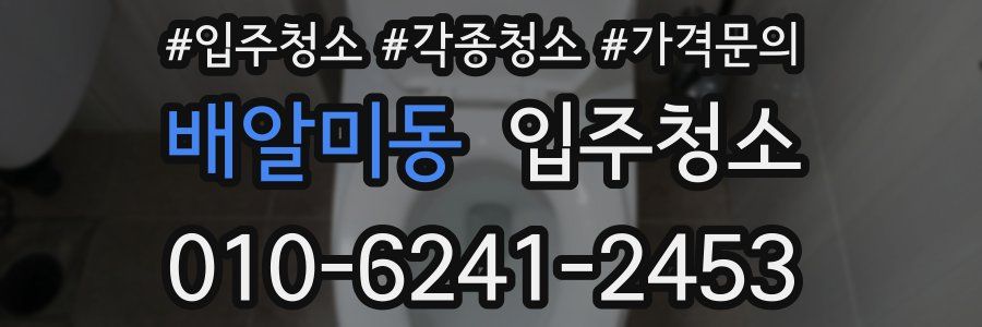 배알미동 이사청소