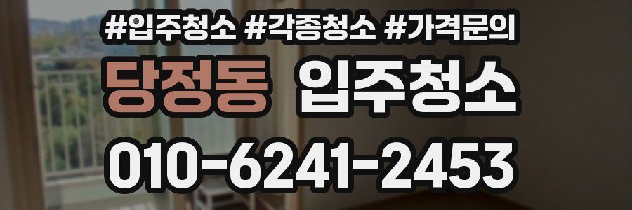 당정동 이사청소