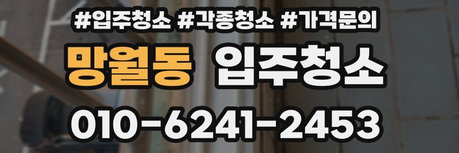 망월동 이사청소