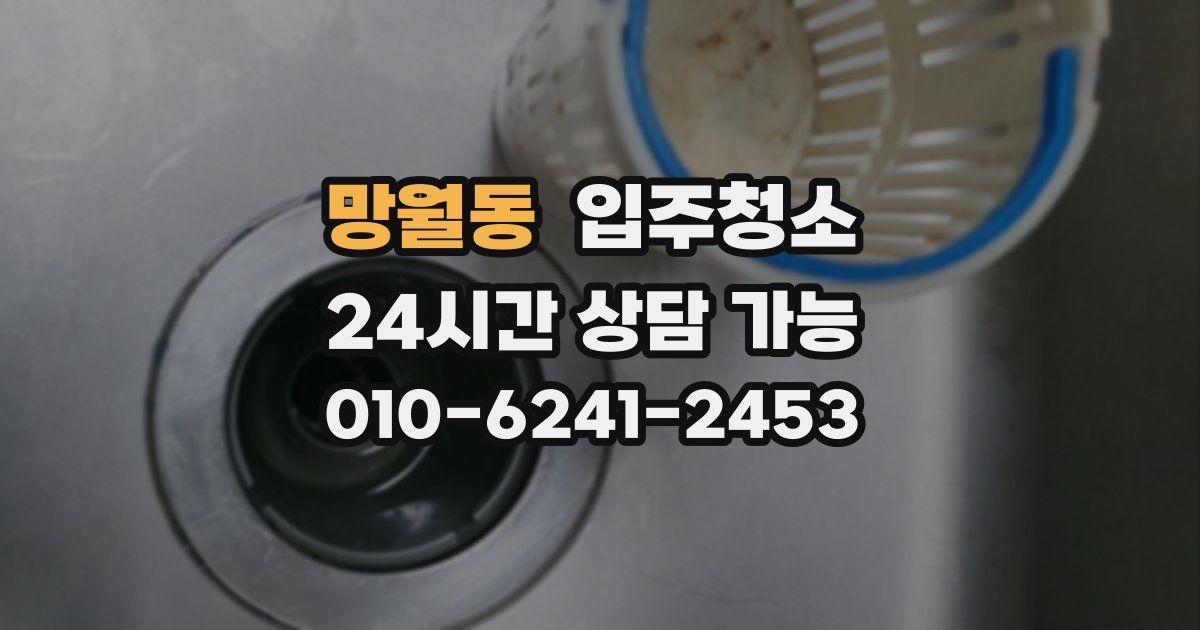 망월동 입주청소