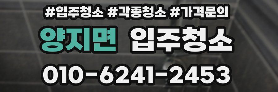 양지면 이사청소