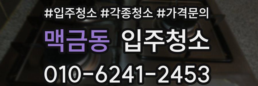 맥금동 이사청소