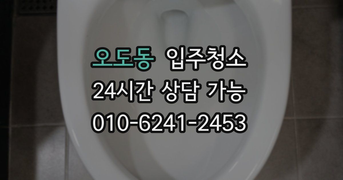 오도동 입주청소