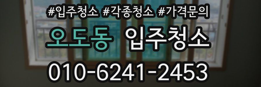 오도동 이사청소