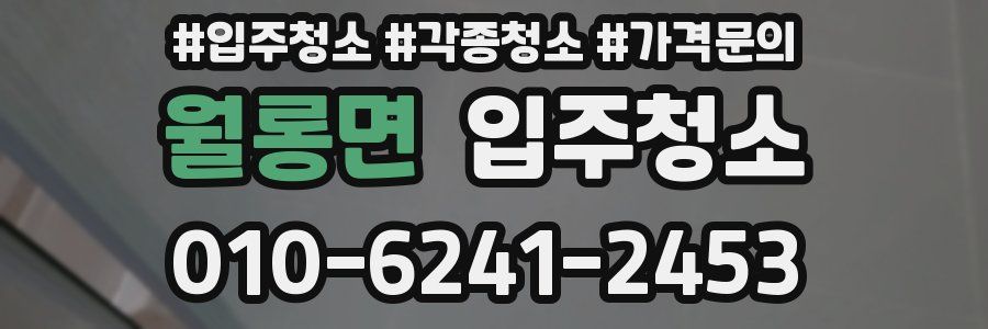 월롱면 이사청소