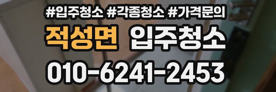 적성면 이사청소