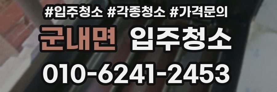 군내면 이사청소