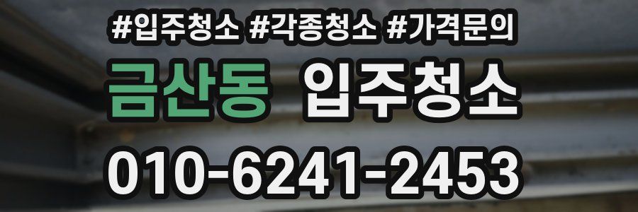 금산동 이사청소