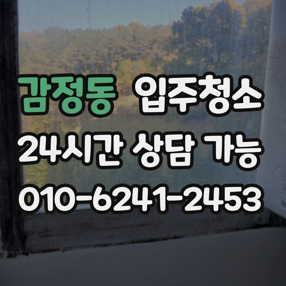 감정동 원룸청소