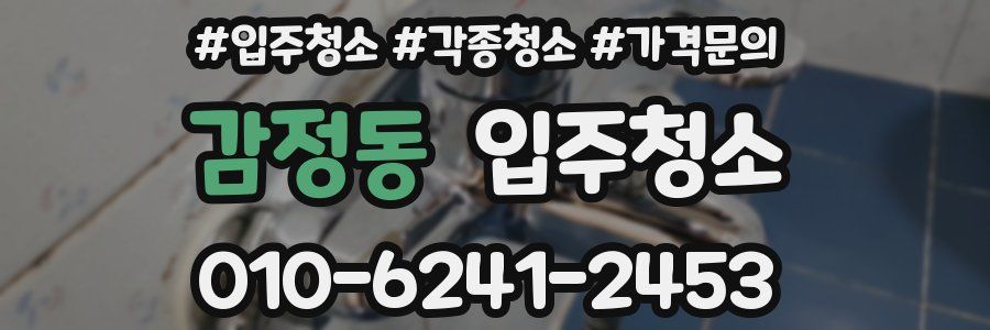 감정동 이사청소