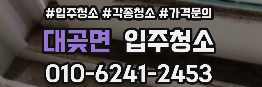 대곶면 이사청소