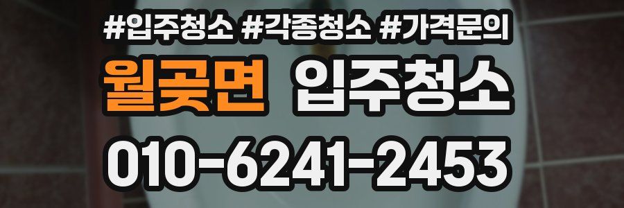 월곶면 이사청소